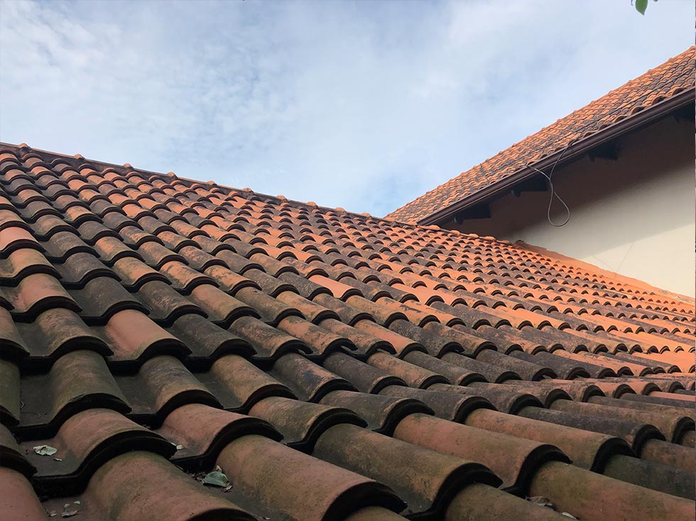 High Pressure Roof cleaning