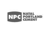 NPC-Cement