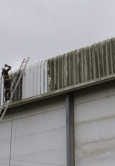 Cladding and Roof Wash