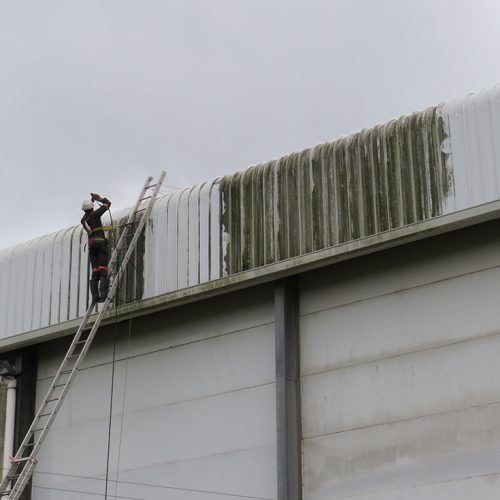 Cladding and Roof Wash