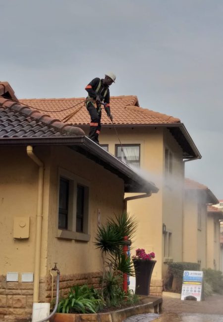 Residential Roof Cleaning