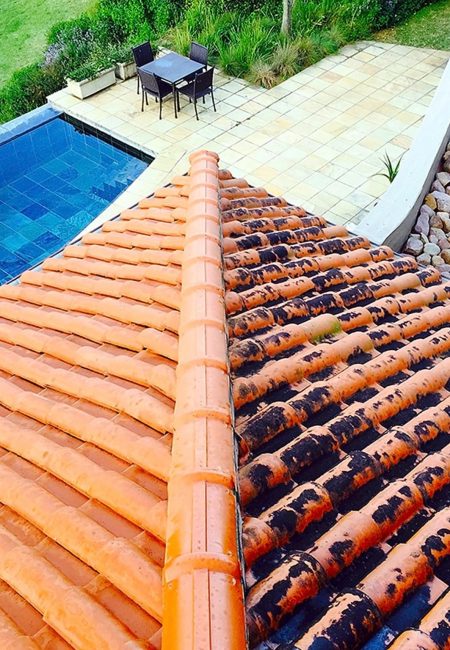 Residential Roof Cleaning