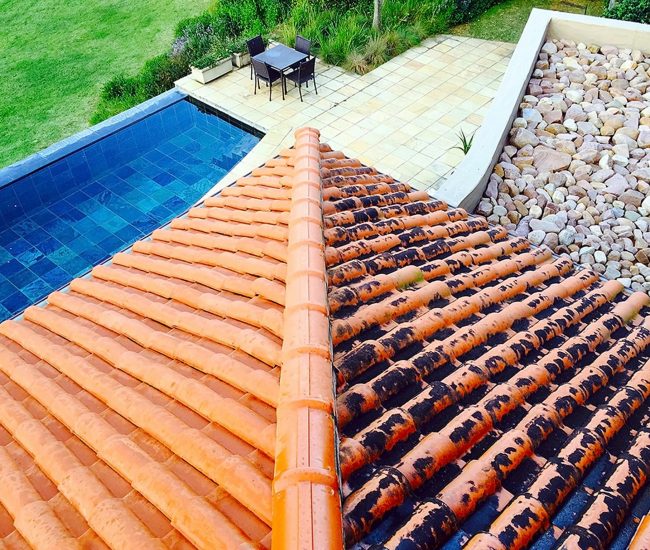 Residential Roof Cleaning