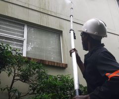 Residential Wall Cleaning