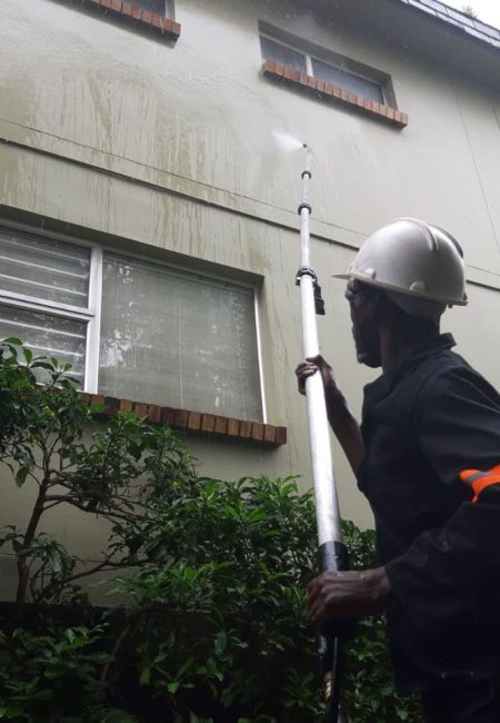 Residential Wall Cleaning