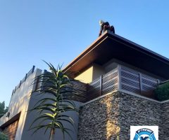 Roof and Gutter Cleaning