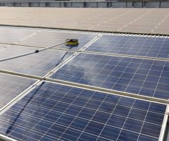 Solar Panel Cleaning