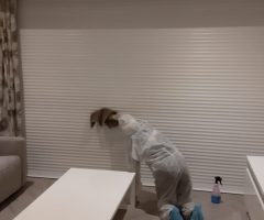 Deep Cleaning