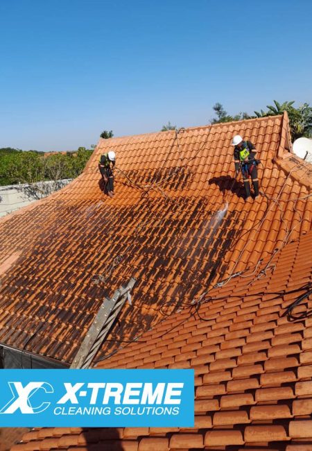 Roof Cleaning Services