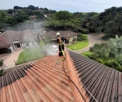 Roof & Gutter Cleaning