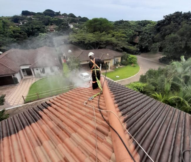 Roof & Gutter Cleaning
