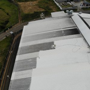Factory Roof Cleaning