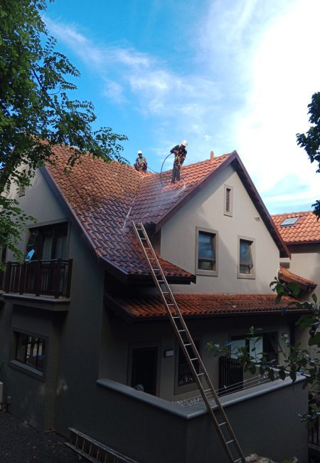 Pitched Roof Cleaning