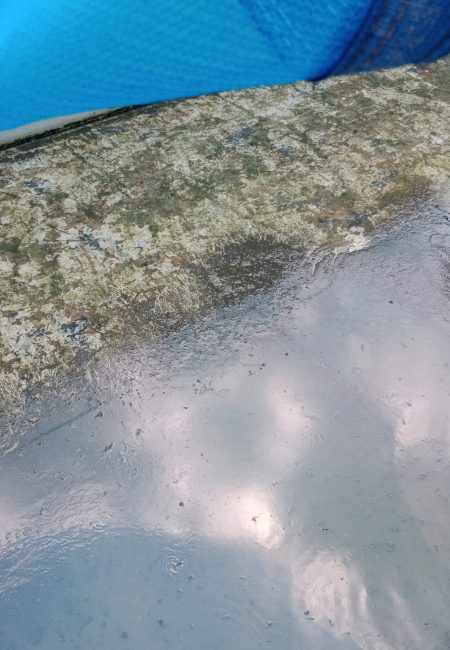 Bund Area Cleaning