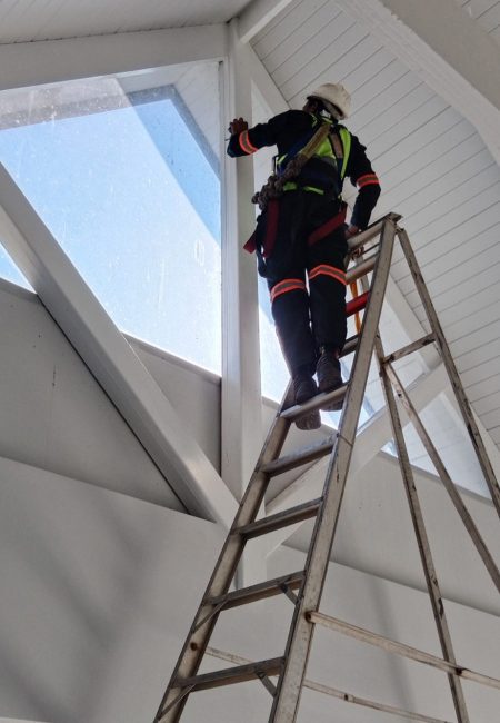 High Reach Cleaning